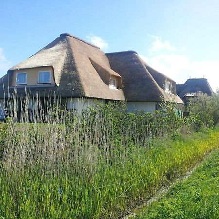 Haus-Duewelswarft-Whg-Delphin Daire Sankt Peter-Ording Dış mekan fotoğraf