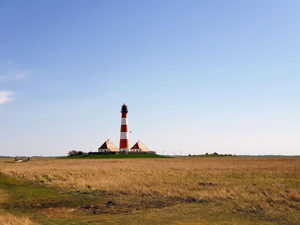 Haus-Duewelswarft-Whg-Delphin Daire Sankt Peter-Ording Dış mekan fotoğraf
